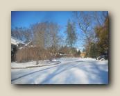 Winter 2024 017.jpg